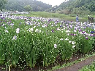 a0080007_22505379.jpg