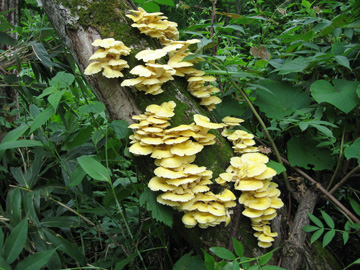 d0051707_1604230.jpg
