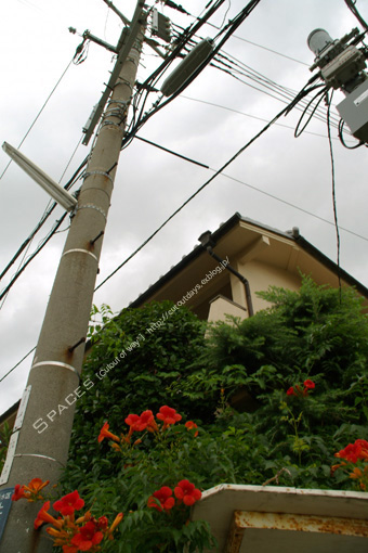 f0022823_19434212.jpg
