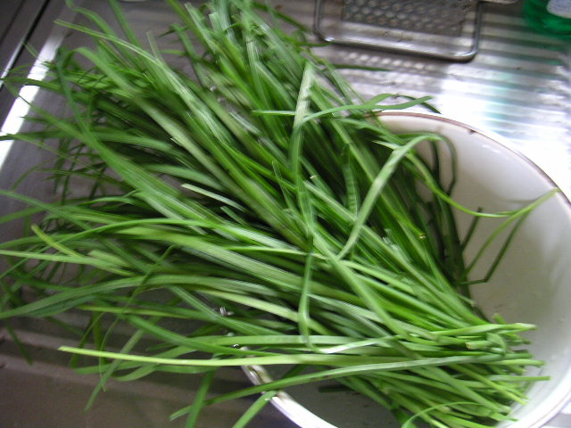 a0020929_19295452.jpg