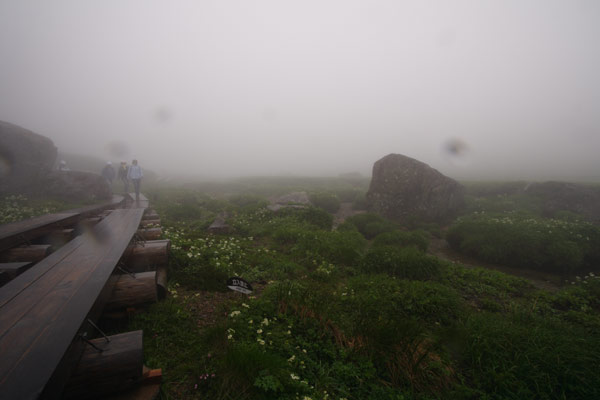 e0025930_21591322.jpg