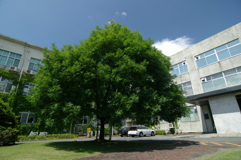 d0032931_10325981.jpg