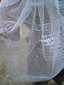c0073536_21173570.jpg