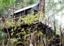e0049740_12195868.jpg