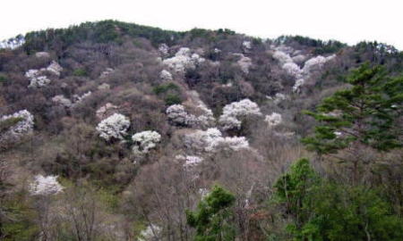 e0049740_1225520.jpg