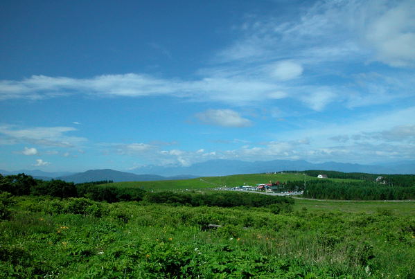 b0036743_2311195.jpg