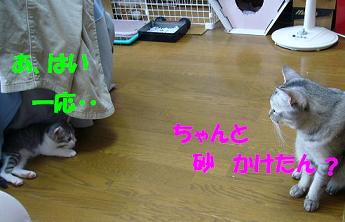 f0002743_11331231.jpg