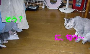 f0002743_11332748.jpg
