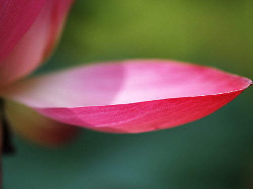 a0003746_13162930.jpg