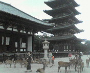 b0039246_23431446.jpg