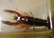 f0096948_0414242.jpg