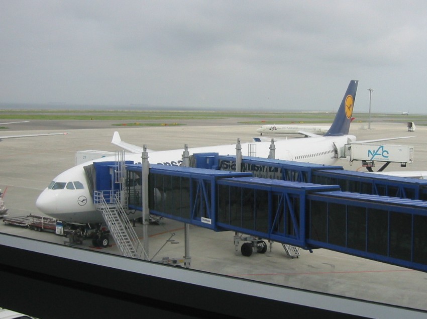 f0028549_1533477.jpg