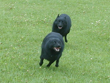 a0009750_151526100.jpg