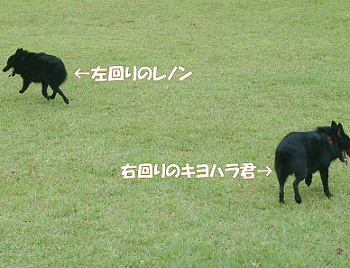 a0009750_15163417.jpg