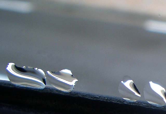 e0002850_2349937.jpg