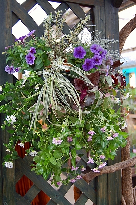 e0025655_61789.jpg