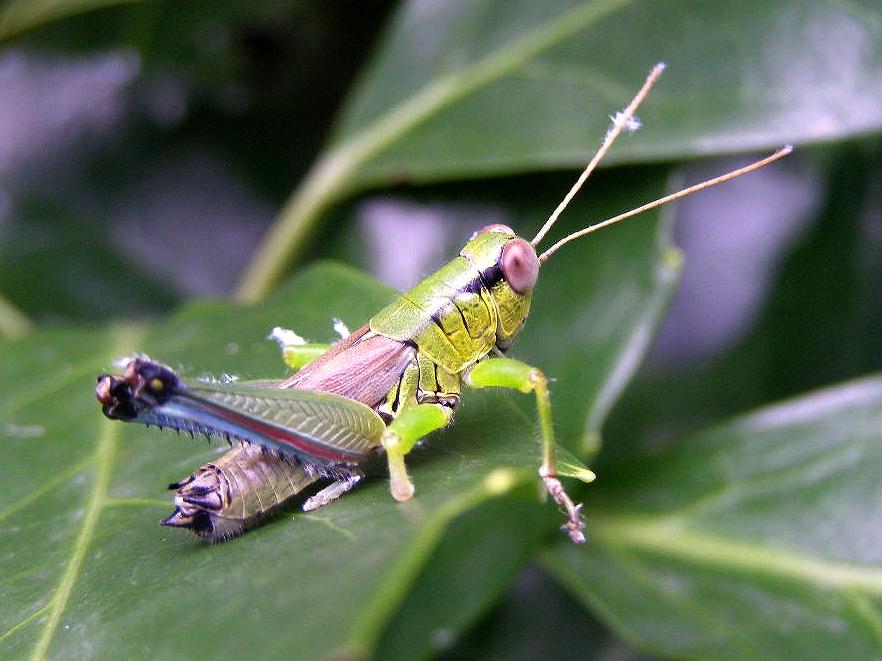 e0064158_0333285.jpg
