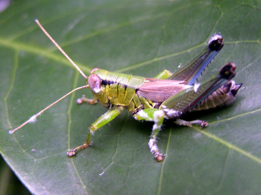 e0064158_0335525.jpg