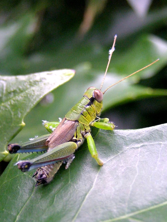 e0064158_0341434.jpg