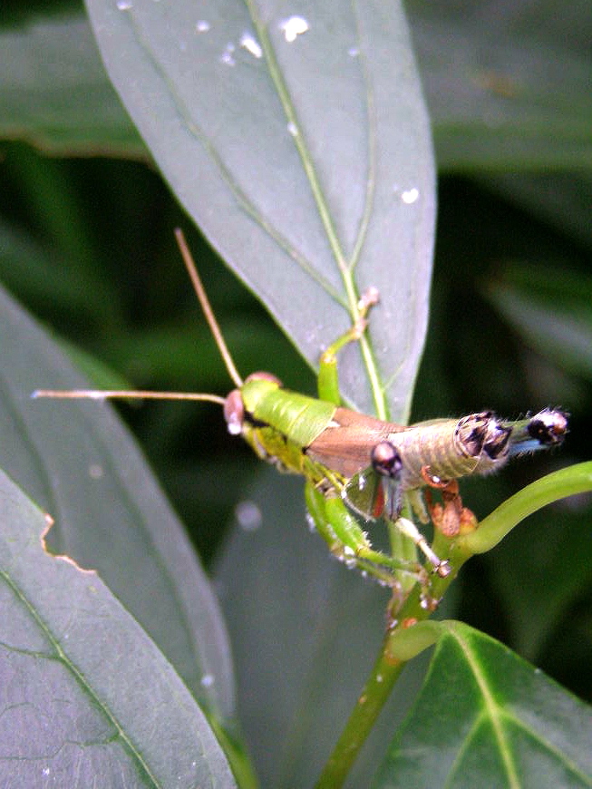 e0064158_0345042.jpg