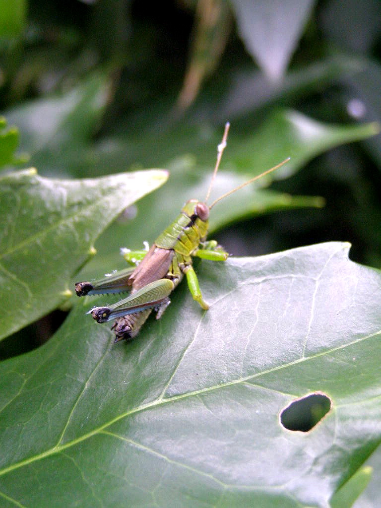 e0064158_0353187.jpg
