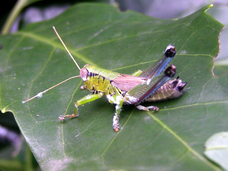 e0064158_035729.jpg