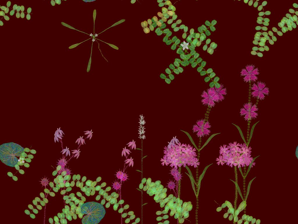 c0059660_14273956.jpg