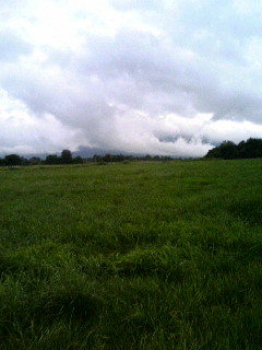 e0088260_20555514.jpg