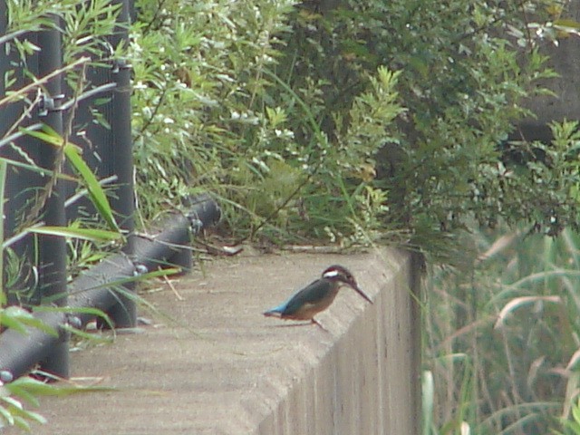 b0061261_22475383.jpg