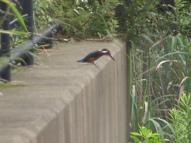 b0061261_2248373.jpg