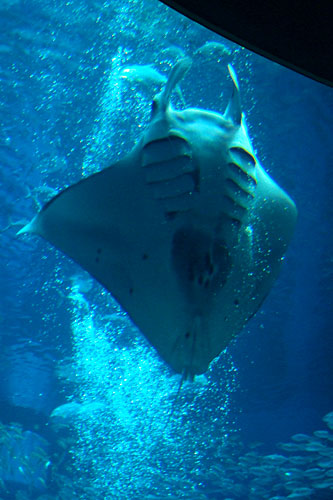 b0048571_2248648.jpg