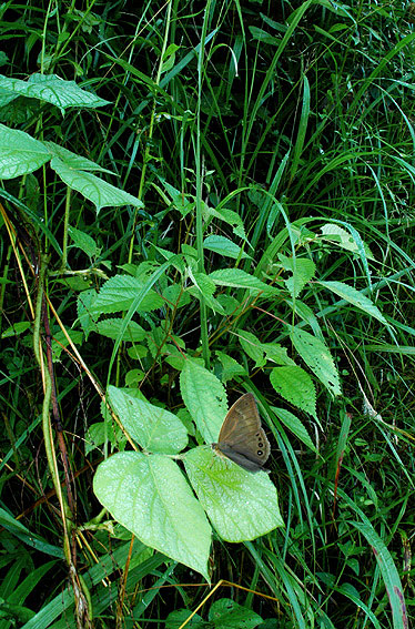 f0090680_8341551.jpg