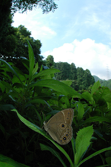 f0090680_8345077.jpg