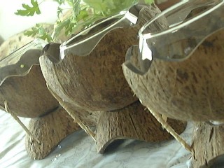 f0039281_0431169.jpg