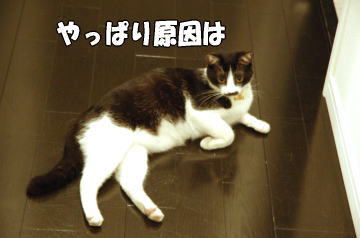 b0041182_8423965.jpg