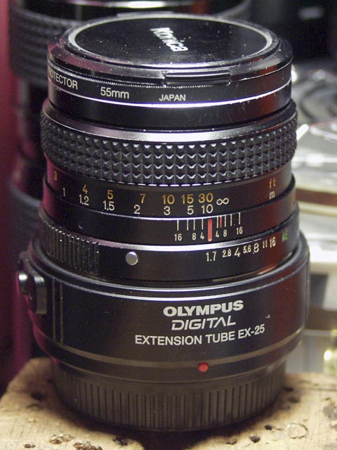 c0078490_1955369.jpg