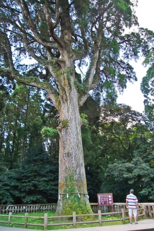 f0036700_19104713.jpg