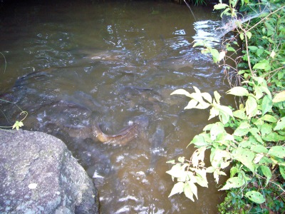 f0036700_21461284.jpg