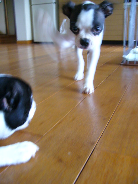 d0070702_22255081.jpg