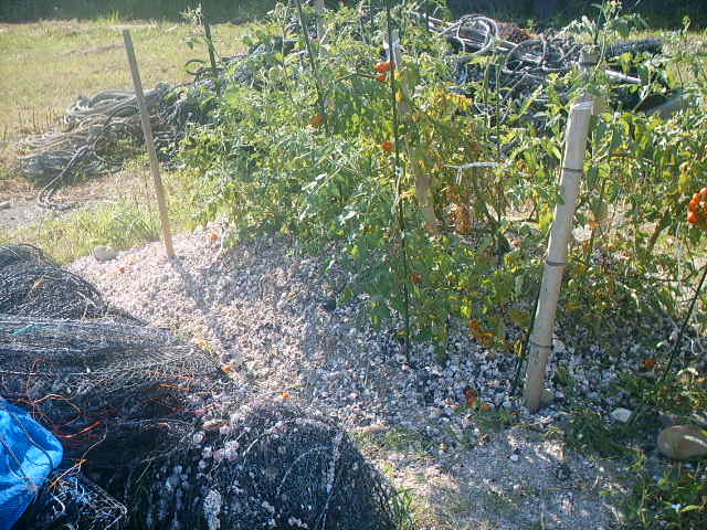 e0022603_9334426.jpg