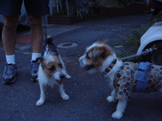 f0080105_041547.jpg