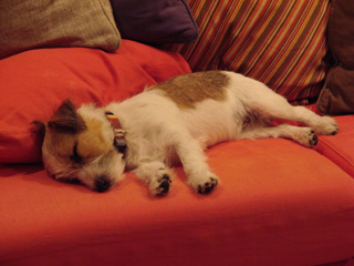 f0080105_054416.jpg