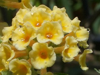 b0061107_23114598.jpg