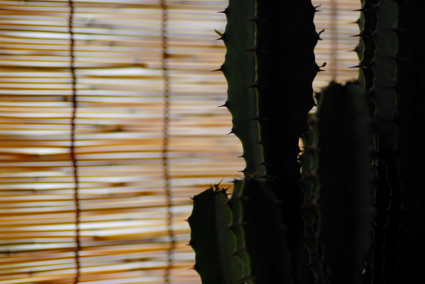 b0000608_9505154.jpg