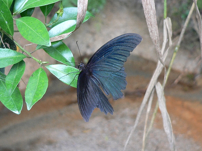 e0002314_14384467.jpg