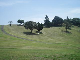 f0022024_2352010.jpg