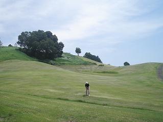 f0022024_23521075.jpg