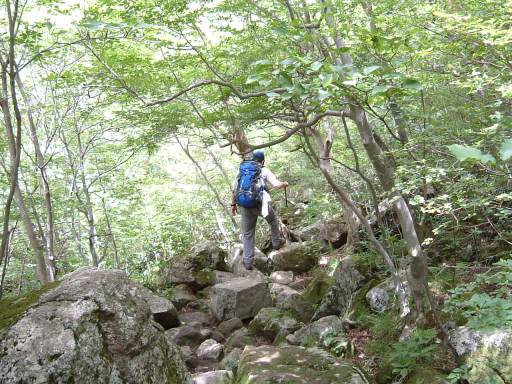 c0077338_15414245.jpg