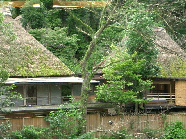 e0078338_20515845.jpg