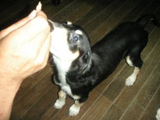 f0039538_23124172.jpg